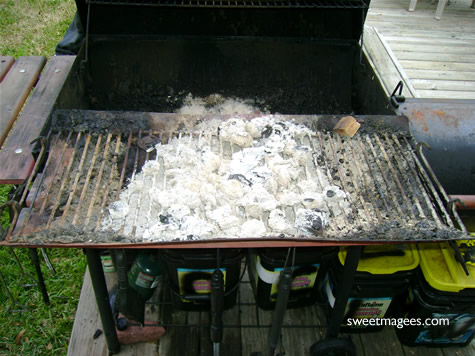 empty ashes after each use